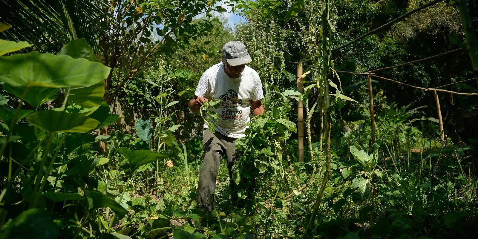 Alagoas debate desenvolvimento rural sustentável em conferência nos dias 10 e 11