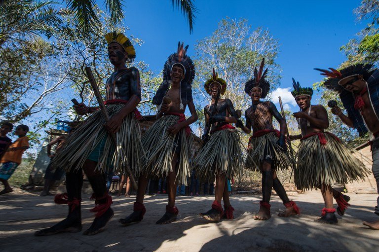 A terra em chamas: como a disputa pela terra indígena Xukuru-Kariri incendiou Palmeira dos Índios
