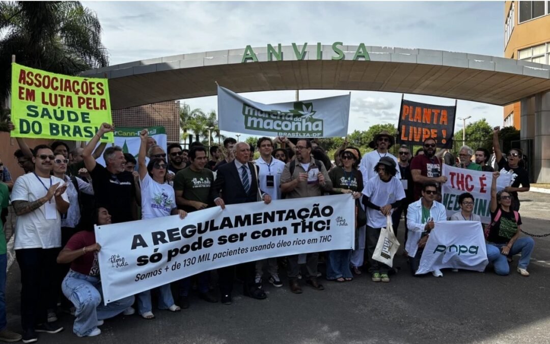 O dia em que a maconha medicinal saiu do limbo jurídico no Brasil