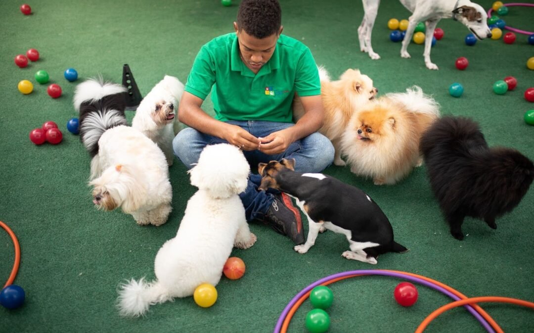 Inscrições para Formação de Cuidadores de Animais seguem até 5 de fevereiro