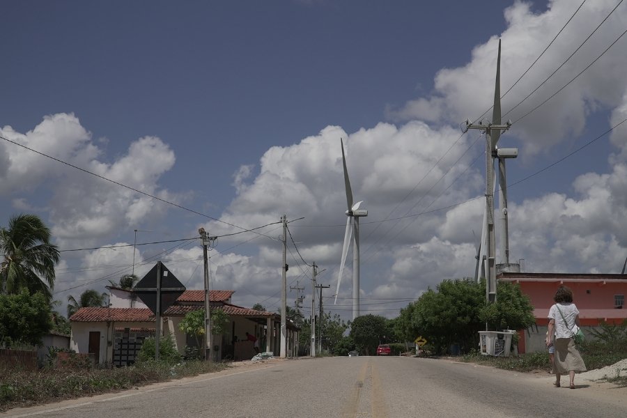 Relatório aponta falhas em direitos humanos na expansão da energia renovável no Nordeste