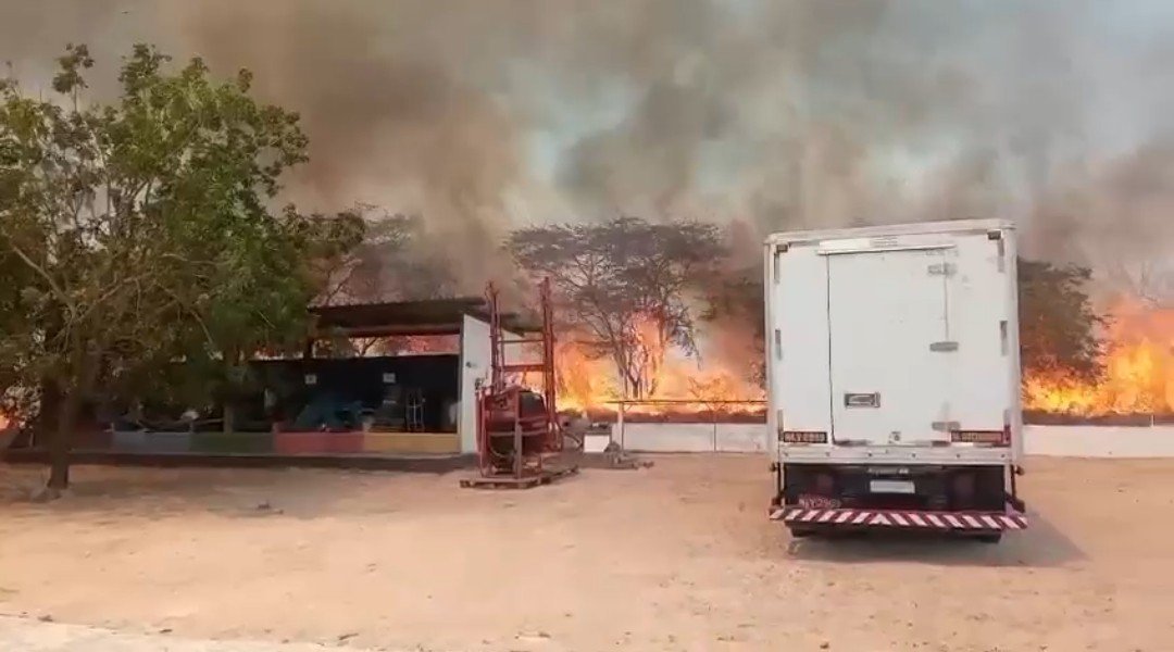 Incêndio de grandes proporções atinge área do Grupo Timbaúba em Cacimbinhas