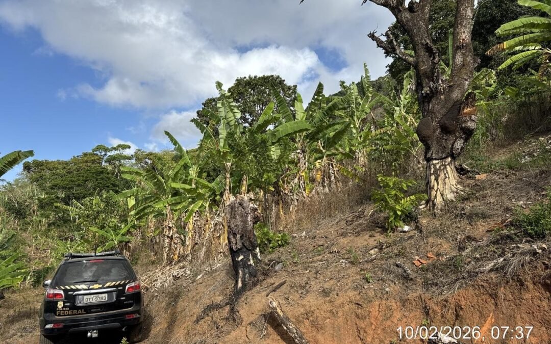 PF investiga invasão e incêndios em área histórica da Serra da Barriga, em Alagoas