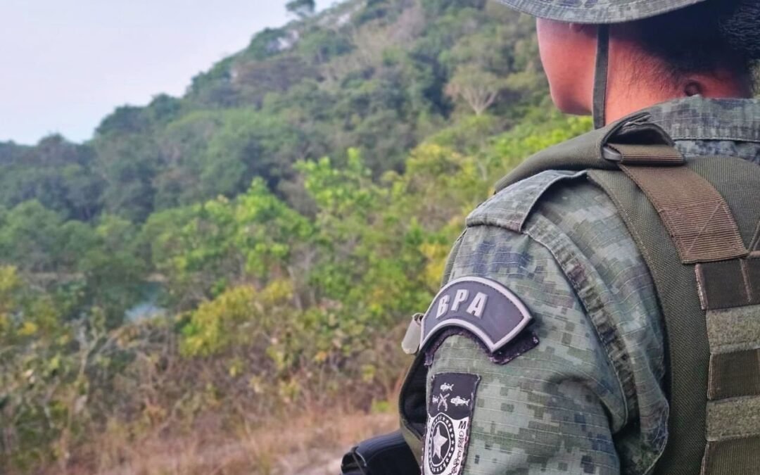 Operação da PM apreende 60 aves silvestres em feiras livres de Maceió e Rio Largo