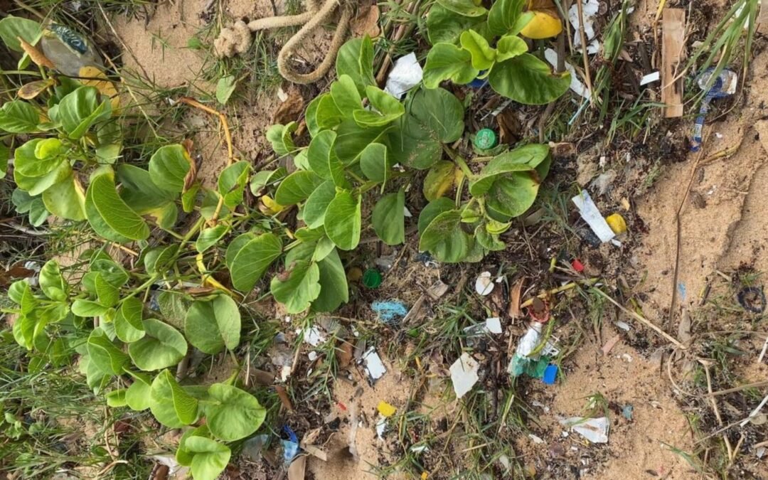 Microplásticos: uma ameaça invisível à saúde e ao meio ambiente