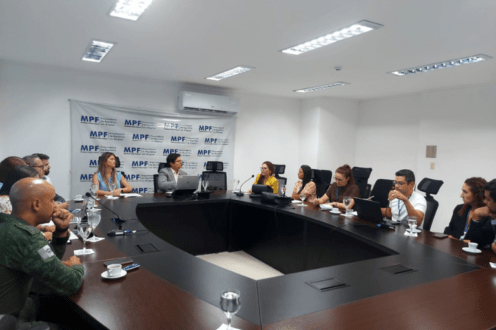 Pocilgas irregulares serão alvo de operação ambiental
