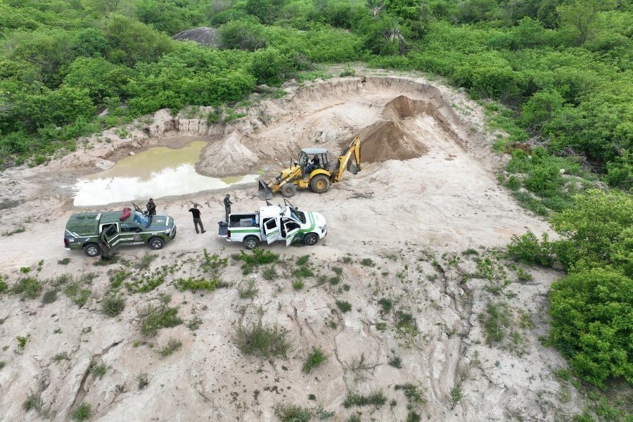 Pernambuco, Ceará e Piauí lideram devastação na Caatinga