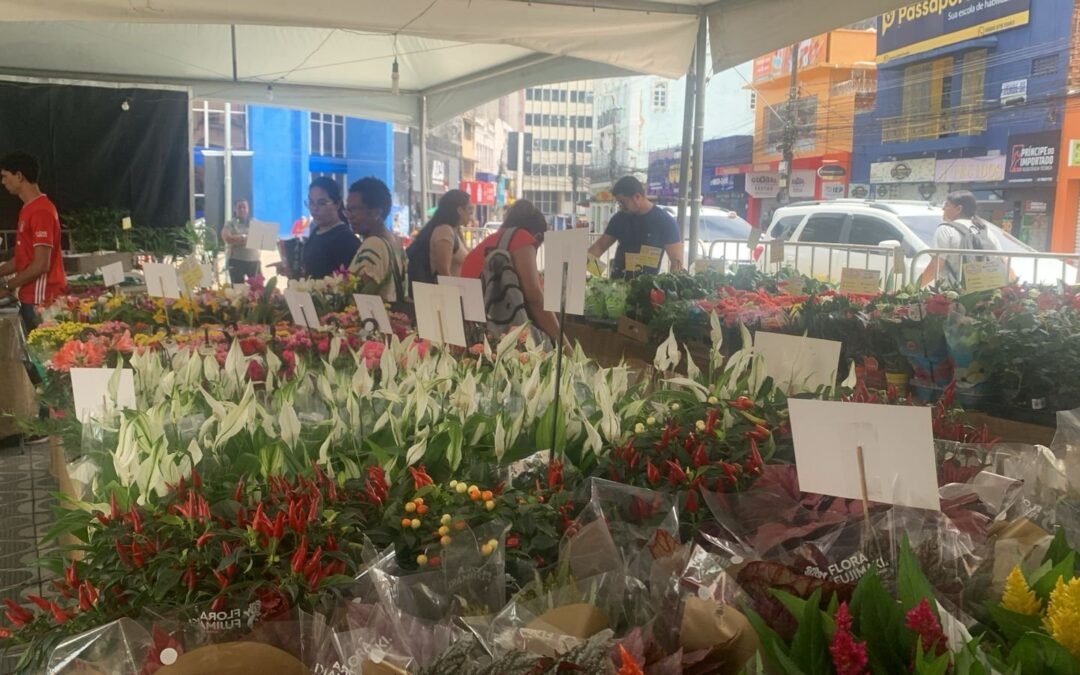 Maceió recebe o colorido e o perfume da Feira de Flores de Holambra na Praça Dom Pedro