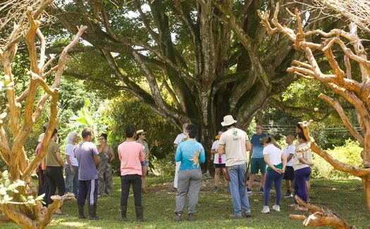 Circuito Corpo, Arte e Natureza promove encontro entre arte e meio ambiente em Maceió