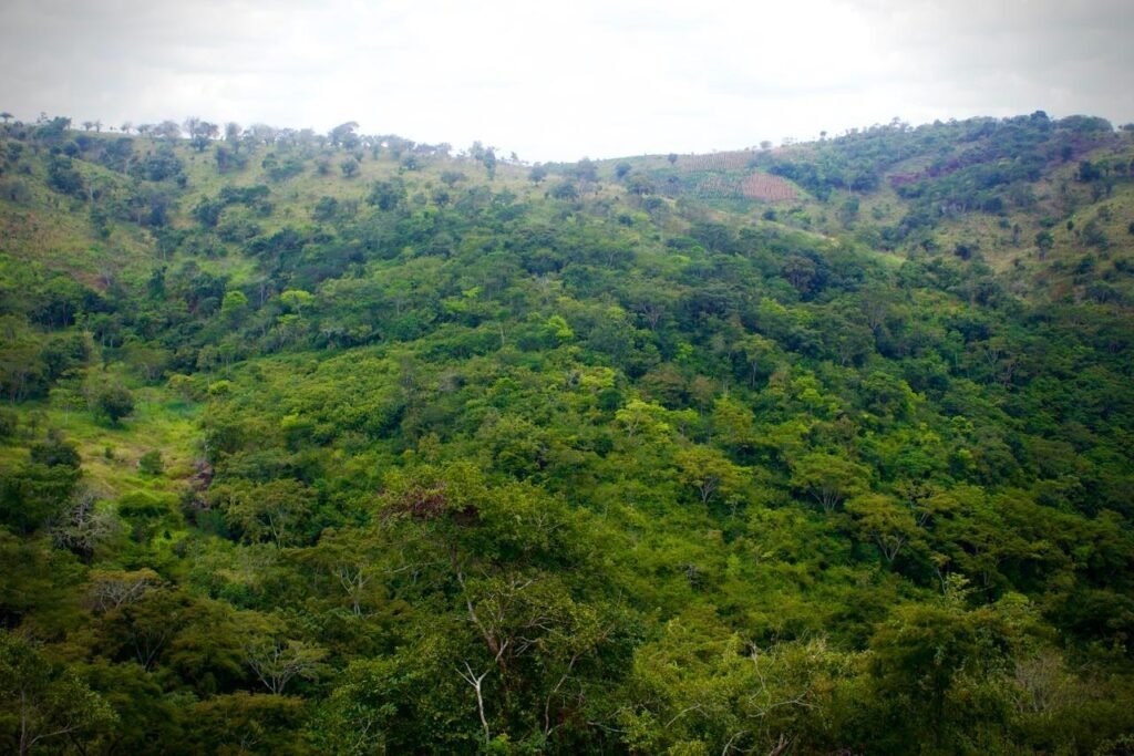 Quilombo da Tabacaria pode se tornar o primeiro tombado constitucionalmente em Alagoas