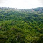 Quilombo da Tabacaria pode se tornar o primeiro tombado constitucionalmente em Alagoas