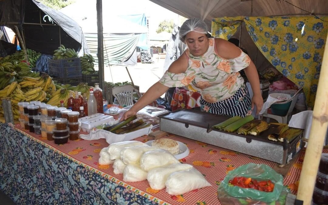 Feira Agroecológica Novo Jardim retorna com programação cultural e alimentos sem agrotóxicos