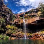 Criança de 8 anos é atacada por onça na Chapada dos Veadeiros