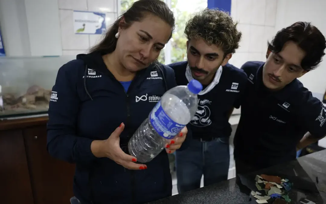 Estudo aponta microplástico em mais de 93% dos peixes vendidos no litoral do Paraná