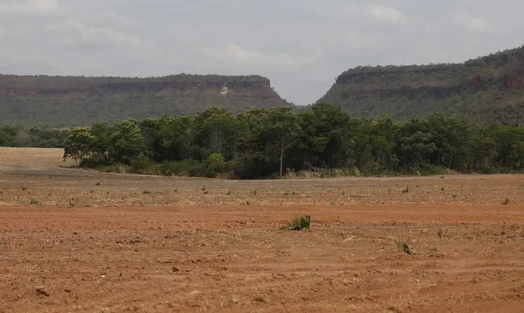 Fragmentação da vegetação nativa cresce 260% no Brasil em quase quatro décadas