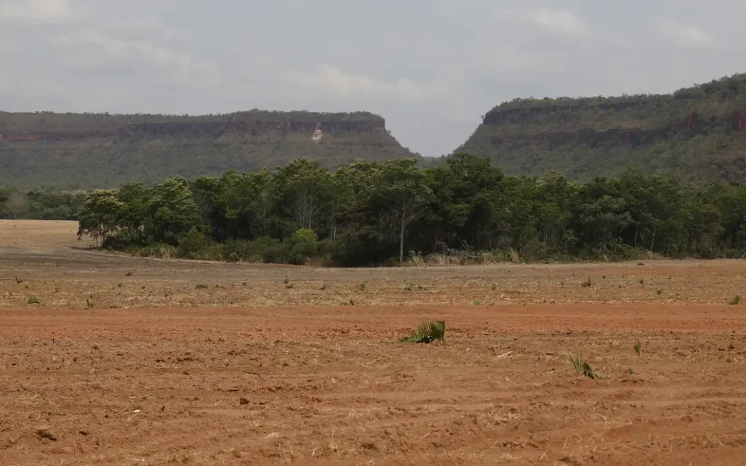 Fragmentação da vegetação nativa cresce 260% no Brasil em quase quatro décadas