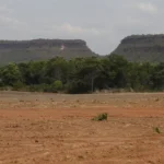 Fragmentação da vegetação nativa cresce 260% no Brasil em quase quatro décadas