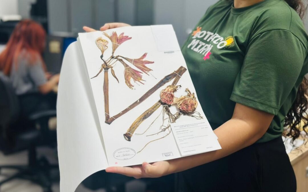 Herbário MAC promove mostra interativa sobre mulheres na ciência e flora brasileira em Maceió