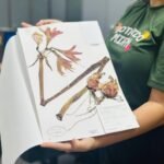 Herbário MAC promove mostra interativa sobre mulheres na ciência e flora brasileira em Maceió