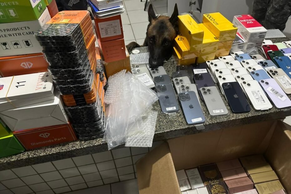 PM apreende drogas, eletrônicos sem nota fiscal e veículo adulterado no interior de Alagoas
