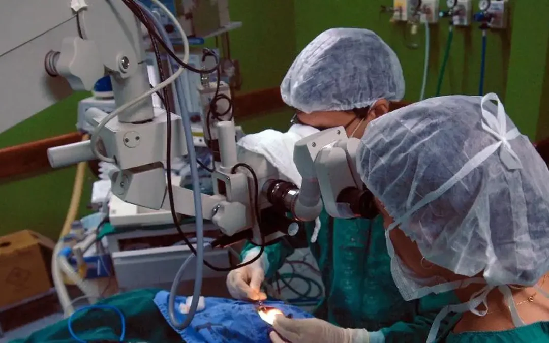 Estudo da USP aponta maior risco de morte em pacientes com doença de Chagas após cirurgias cardíacas