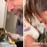 Vídeo: tartaruga que age como um cão vira estrela nas redes sociais