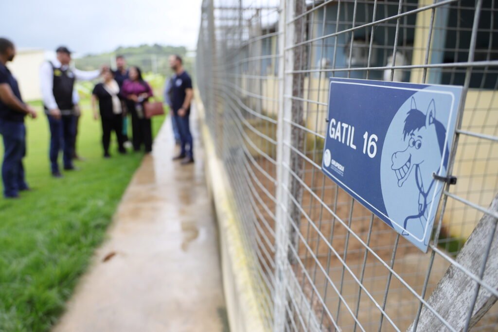 Programa que acolhe animais resgatados do Pinheiro supera 30 mil atendimentos