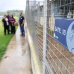 Programa que acolhe animais resgatados do Pinheiro supera 30 mil atendimentos