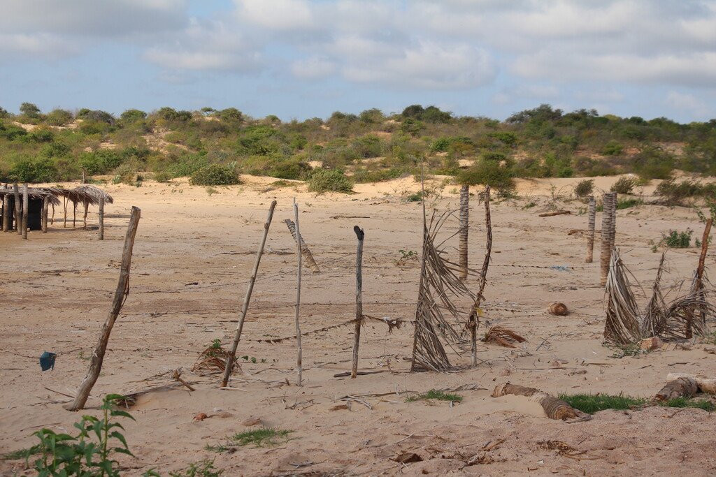 O desertificação avança e ameaça a vida