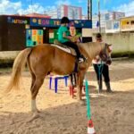 Equoterapia ganha espaço na reabilitação de pacientes neurológicos em Maceió