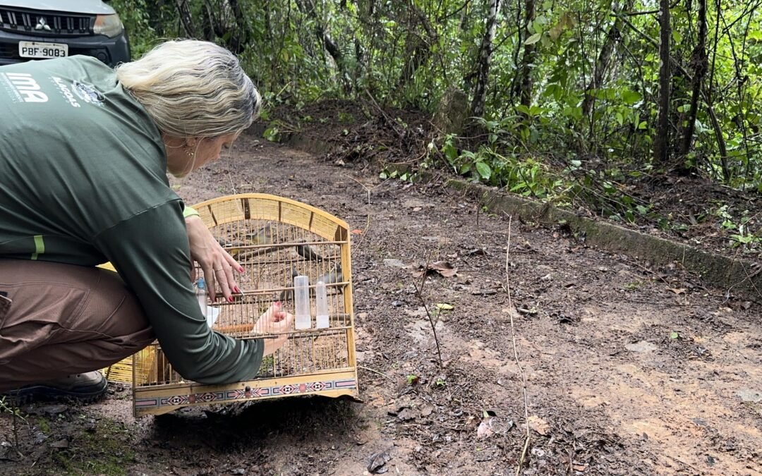 Cetas devolve 164 animais silvestres à natureza em área de Mata Atlântica de Alagoas