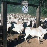 Justiça condena Volkswagen a indenizar ex-trabalhadores por escravidão em fazenda no Pará