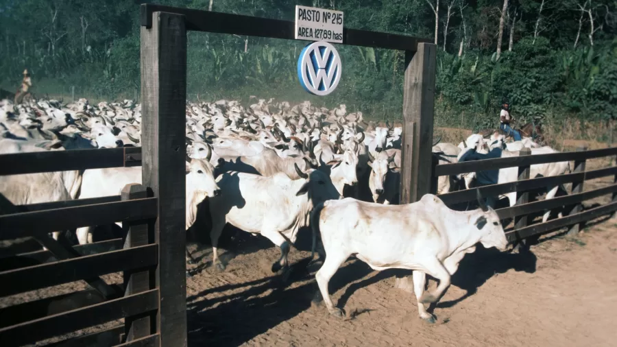 fazenda-vale-do-rio-cristalino-de-propriedade-da-volkswagen-nos-anos-70-1660240907538_v2_900x506.jpg
