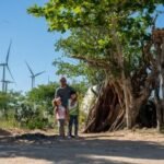 Relatos ligam parques eólicos a problemas de saúde em crianças do Agreste de Pernambuco