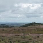 MPAL obtém prisão preventiva de investigado por maior desmatamento da Caatinga em Alagoas