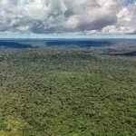 Adversária em campo, Noruega é parceira de ações ambientais do Brasil