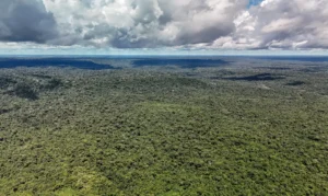 Adversária em campo, Noruega é parceira de ações ambientais do Brasil