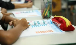 Educação política passa a integrar currículo da educação básica