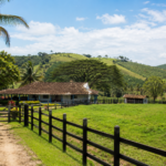 Produtor rural tem até 30 de setembro para entregar declaração do ITR