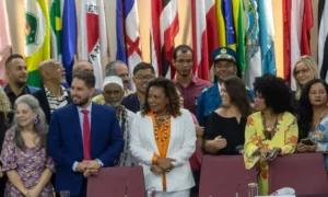 Conselho Nacional de Política Cultural: uma instituição para a democracia cultural