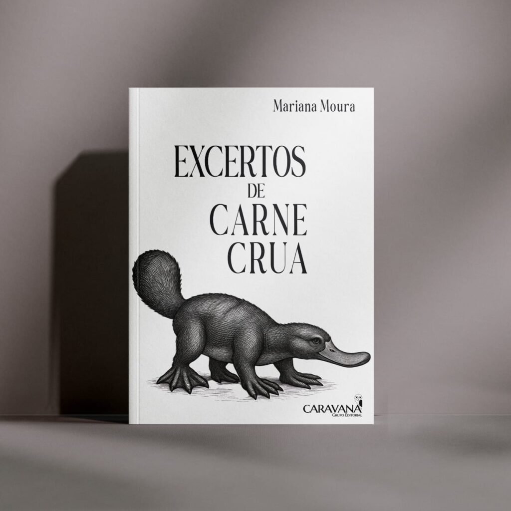 Excertos de carne crua