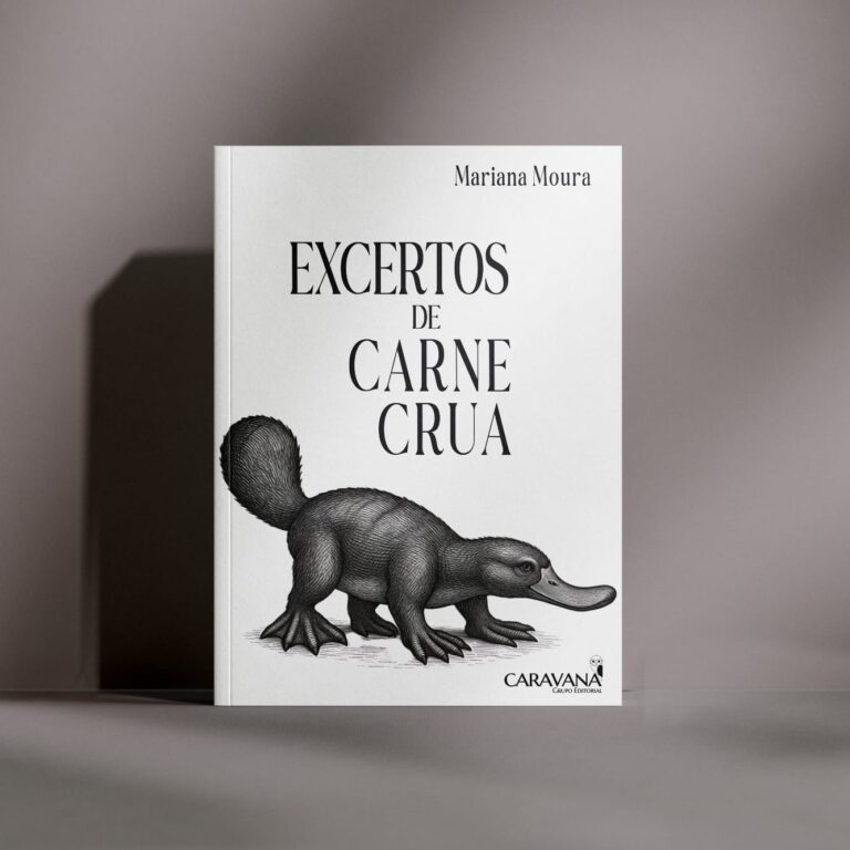 Excertos de carne crua