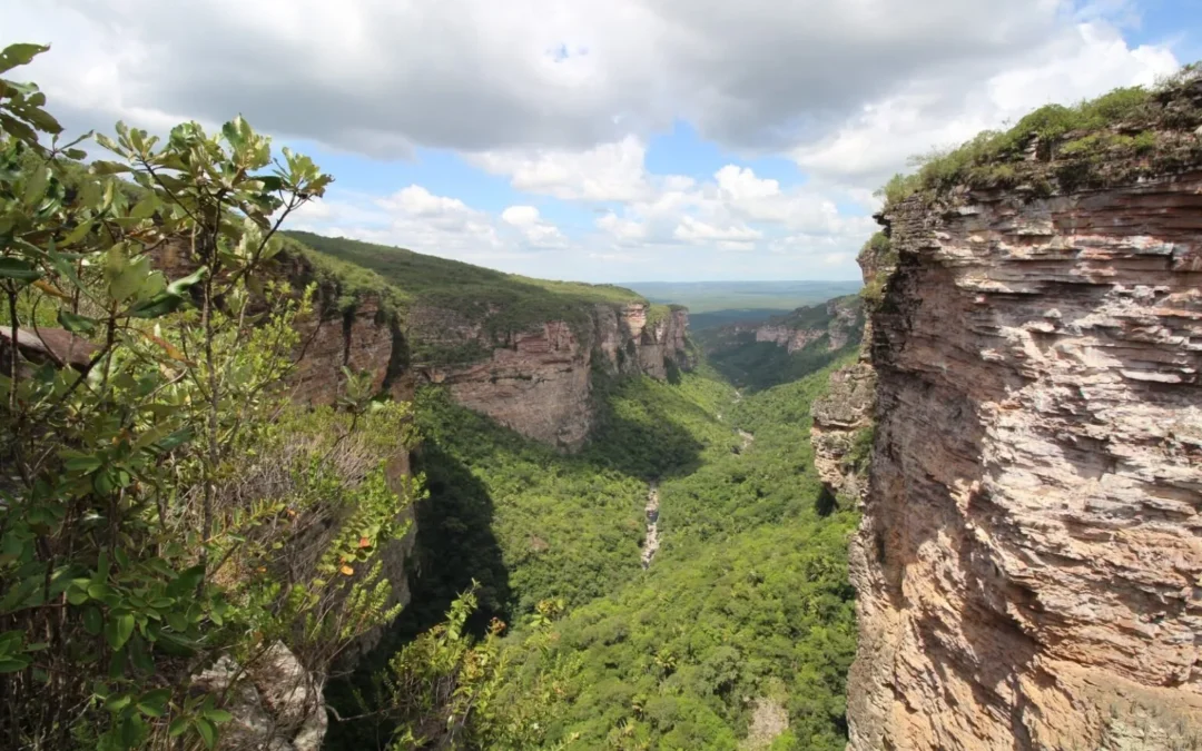 Bahia cria refúgio de 18 mil hectares na Chapada Diamantina para proteger nascentes e biodiversidade