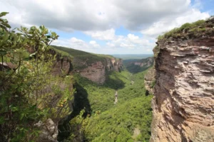 Bahia cria refúgio de 18 mil hectares na Chapada Diamantina para proteger nascentes e biodiversidade
