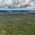 Devastação da Amazônia ameaça ciclo de chuvas e pode agravar secas, alertam cientistas
