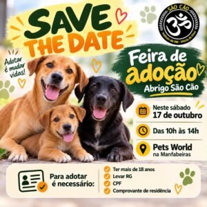 Abrigo São Cão promove feira de adoção neste sábado, em Maceió