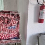 Maceió amplia pontos de acesso gratuito a preservativos e gel lubrificante
