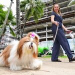 Alagoas inicia vacinação antirrábica de cães e gatos nesta terça-feira (3)