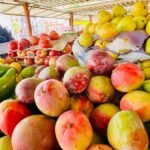Outubro Rosa: alimentação equilibrada e hábitos saudáveis ajudam na prevenção do câncer de mama