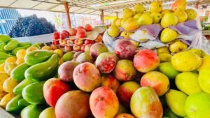 Outubro Rosa: alimentação equilibrada e hábitos saudáveis ajudam na prevenção do câncer de mama